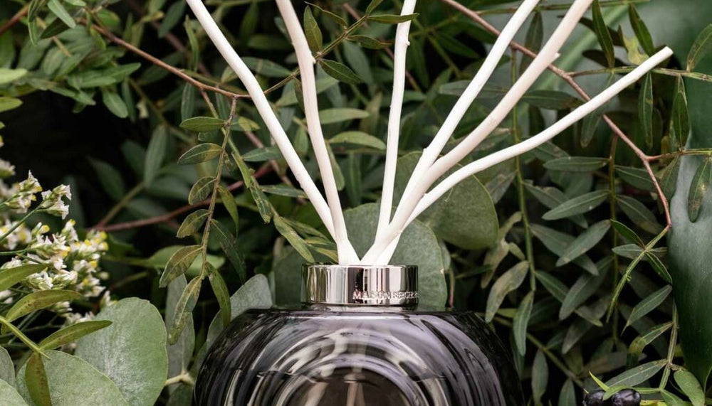 Diffuseurs de parfum à bâtonnets : un monde de senteurs pour votre foyer