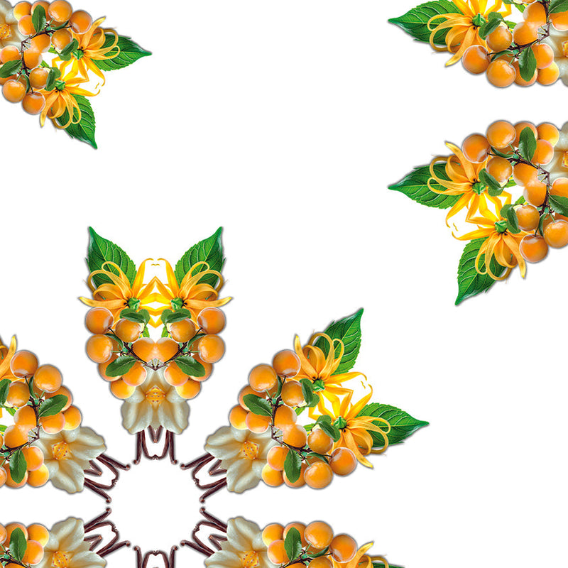 Soleil Fruité