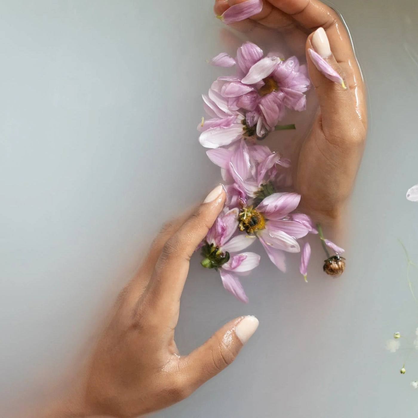 Parfum d’intérieur au musc : de la sensualité dans votre intérieur