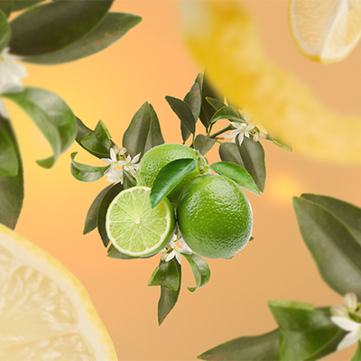 Fleur de Citronnier